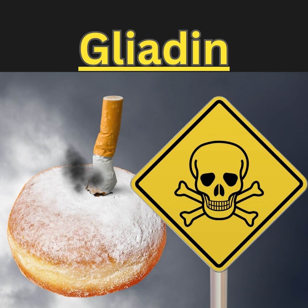 Gliadin und Gluten sind giftig