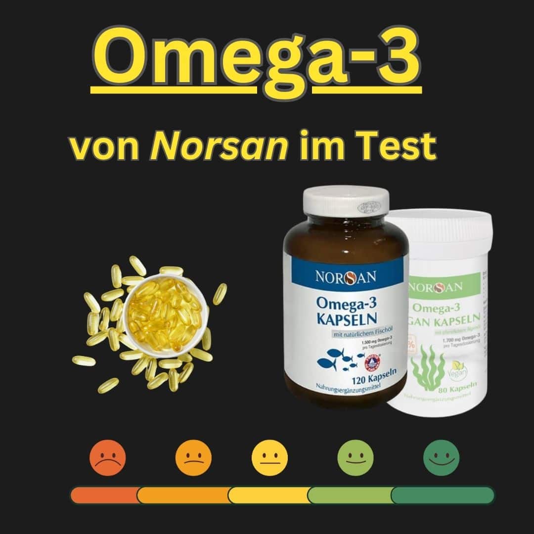 Norsan Omega-3 Erfahrungen