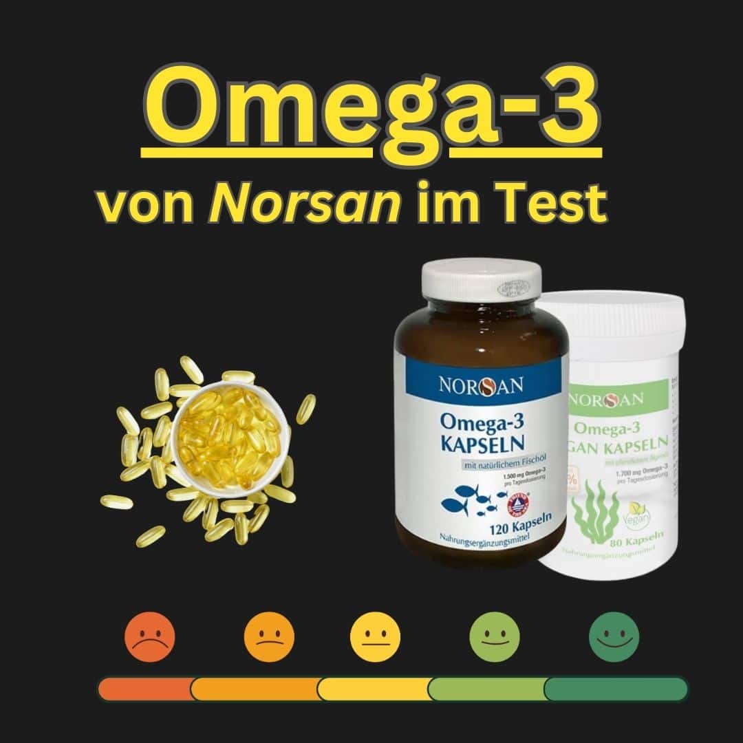 Norsan Omega-3 Erfahrungen Test