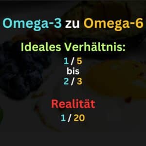 Omega-3- zu Omega-6-Verhältnis