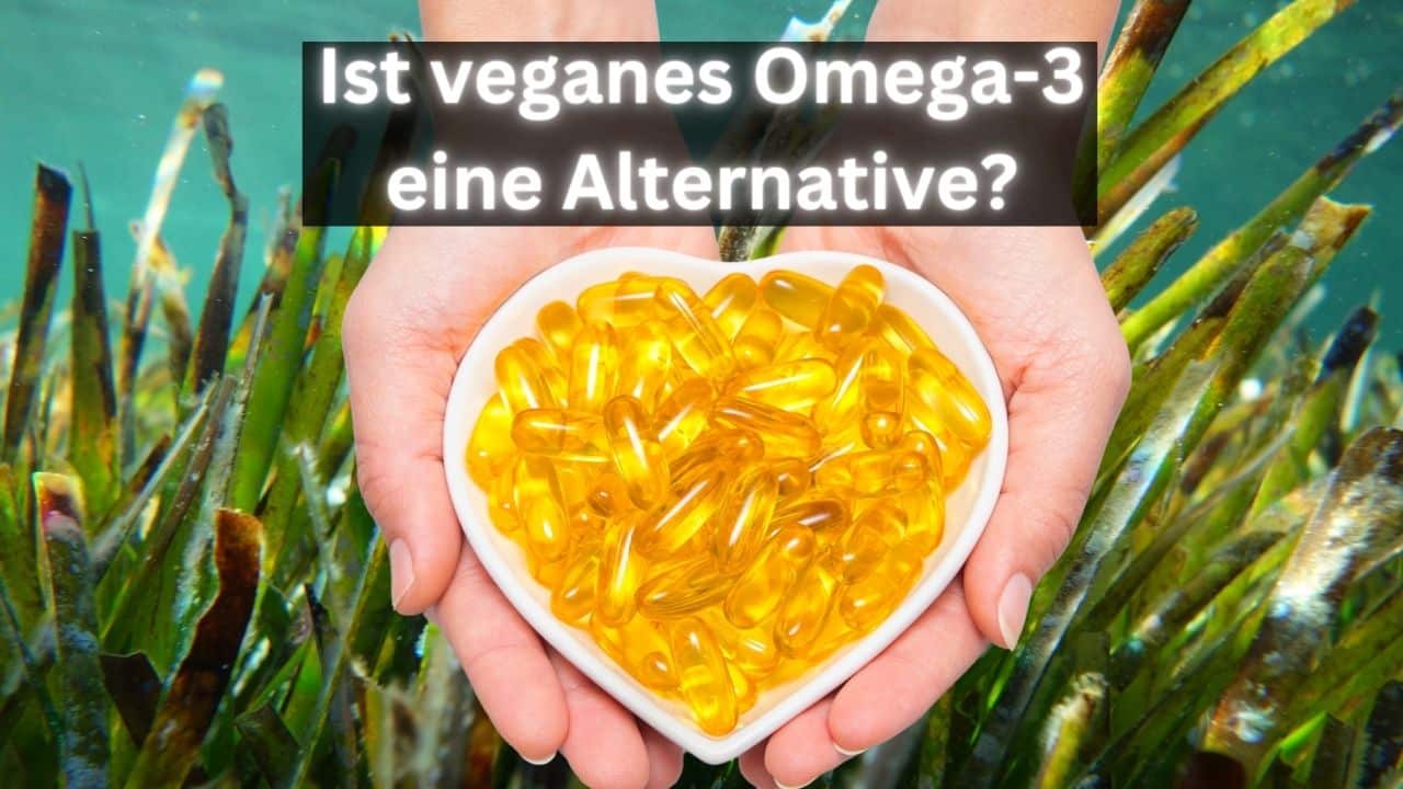 Die Schizochytrium Alge als vegane Omega-3-Quelle?