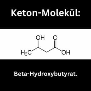 Exogene Ketone Molekül Beta-Hydroxybutyrat.